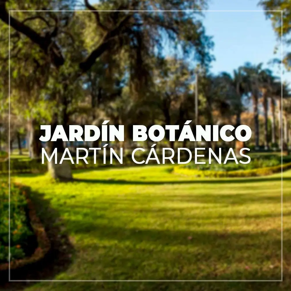 jardin botanico martin cardenas