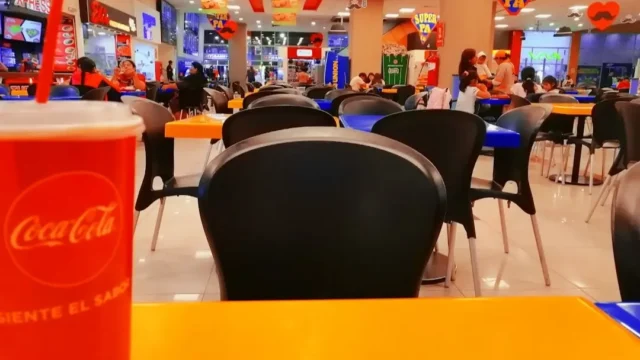 mama chicken 2