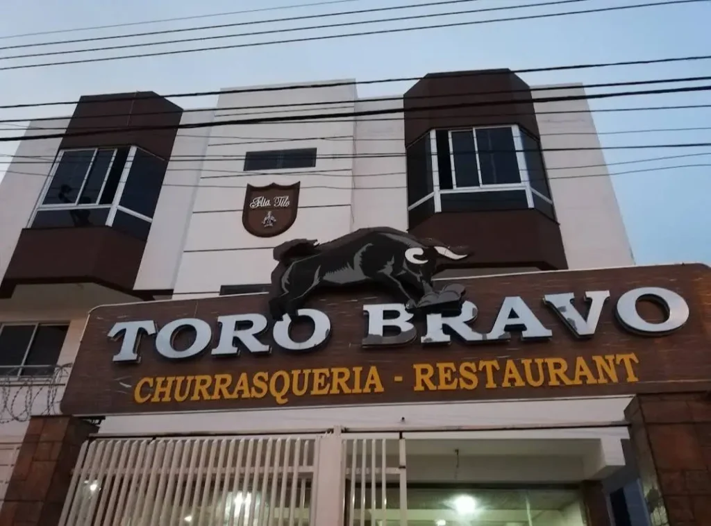 toro bravo 1