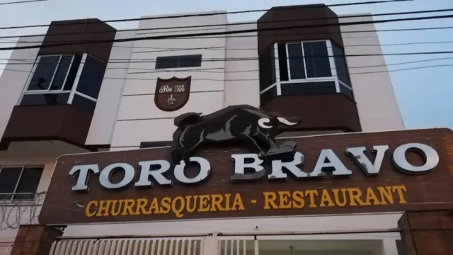 toro bravo 1