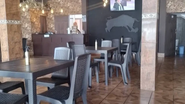 toro bravo 3